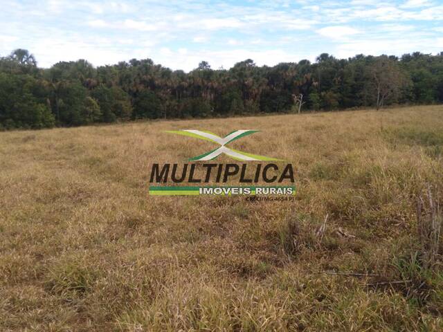 #716 - Chácara para Venda em Uberlândia - MG - 3