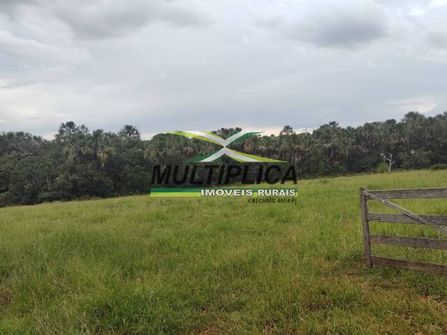 #716 - Chácara para Venda em Uberlândia - MG - 2