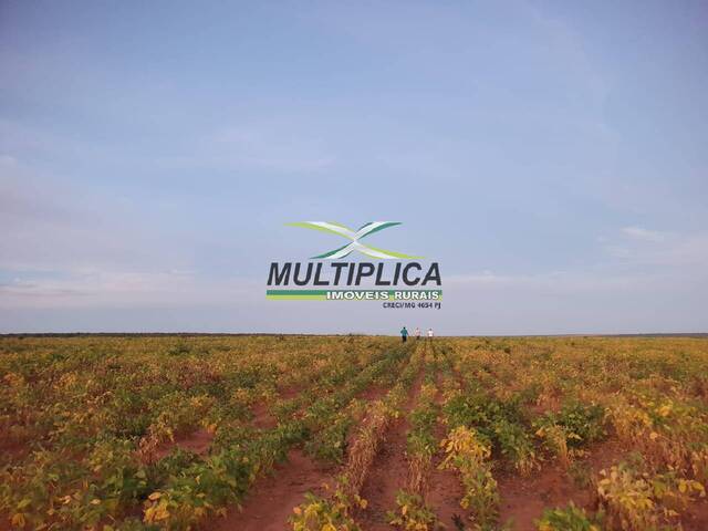 #564 - Fazenda para Venda em Mambaí - GO