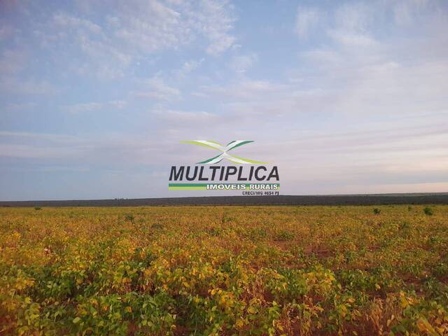 Fazenda para Venda em Mambaí - 4