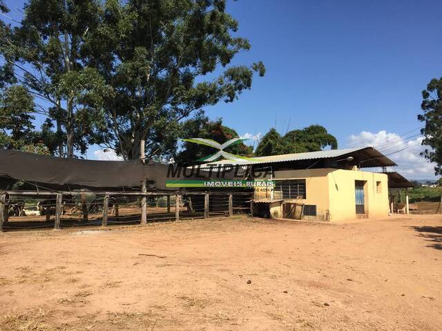 Fazenda para Venda em Cambuquira - 2