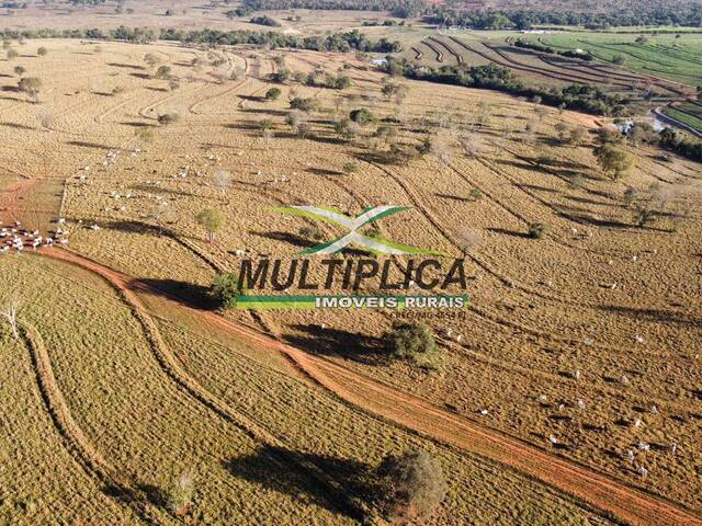#600 - Fazenda para Venda em Aparecida do Taboado - MS