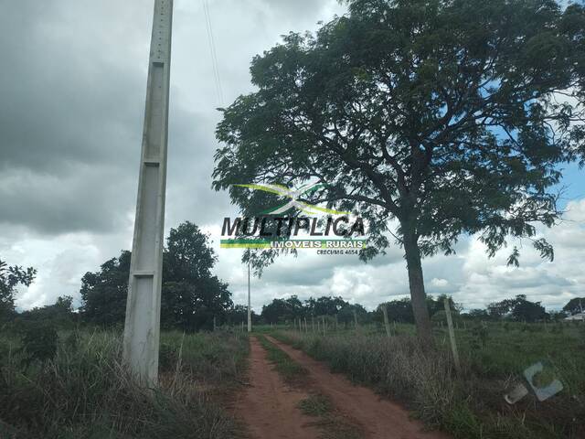 #724 - Chácara para Venda em Uberlândia - MG - 1