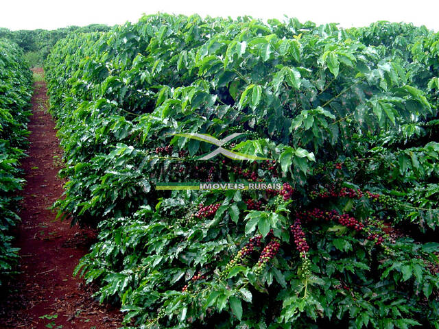 #728 - Fazenda para Venda em Patrocínio - MG - 1