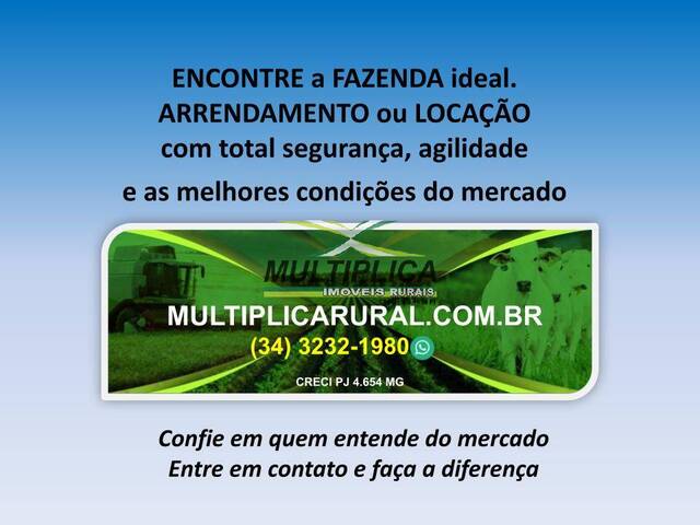 #729 - Fazenda para Venda em Goiás - GO - 3