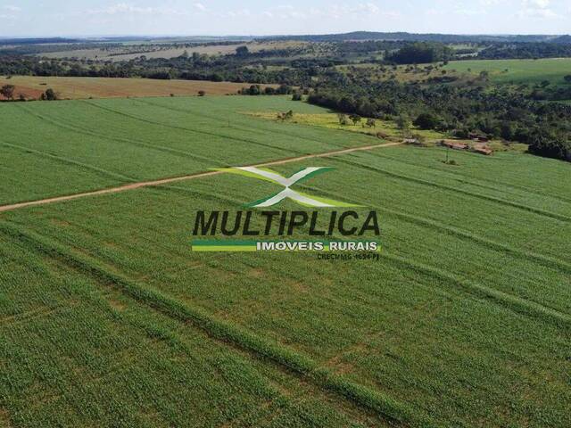 #731 - Fazenda para Venda em Catalão - GO - 2