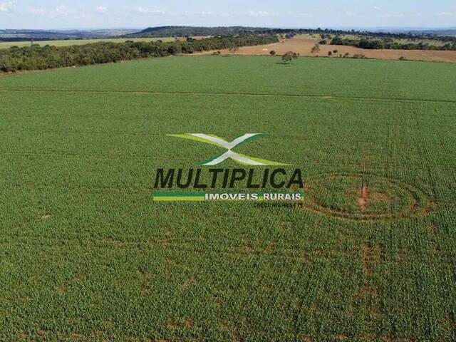 #731 - Fazenda para Venda em Catalão - GO - 3