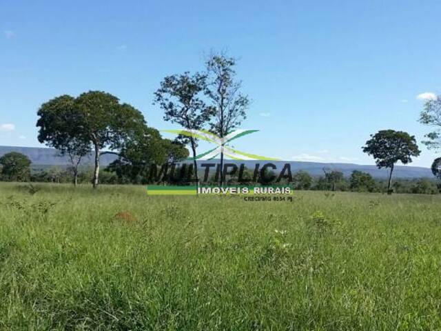 Fazenda para Venda em Santa Fé de Minas - 1