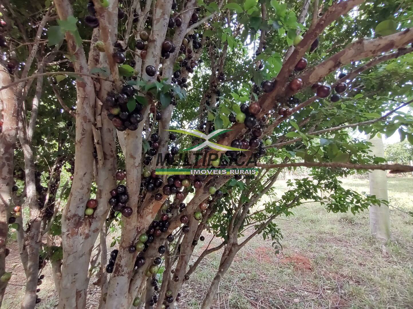 Terreno à venda, 200m² - Foto 31