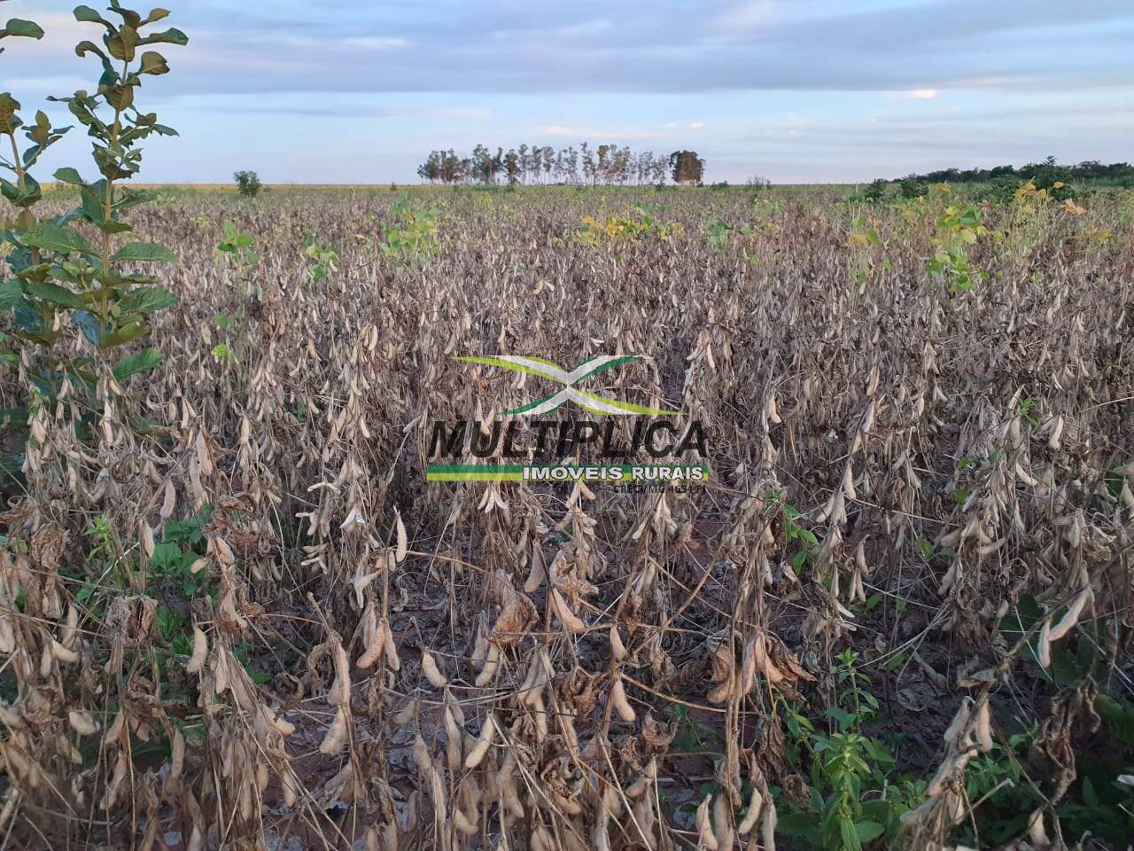 Terreno, 407 m² - Foto 3