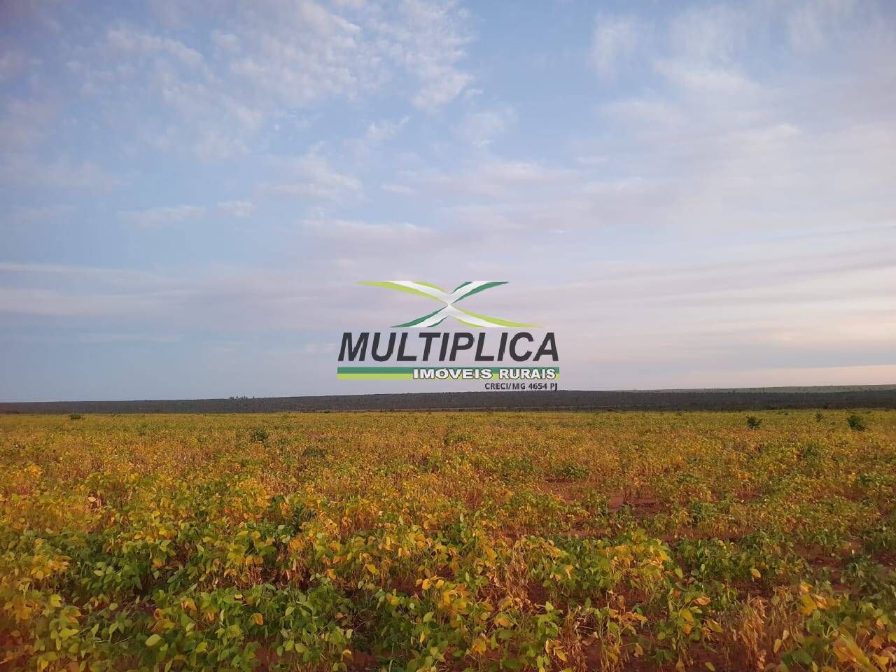 Terreno, 407 m² - Foto 4