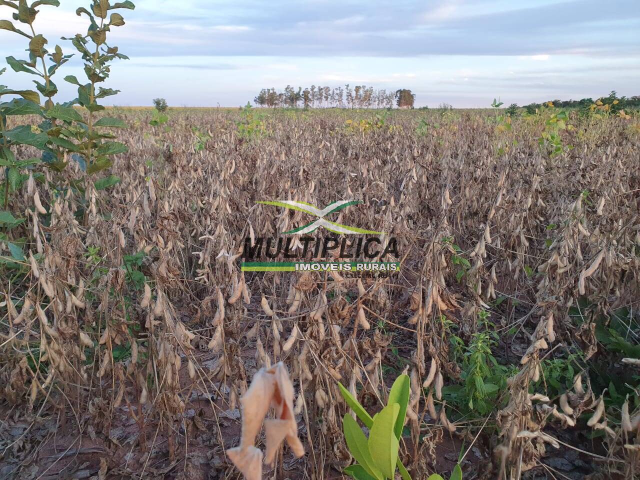 Terreno, 407 m² - Foto 5