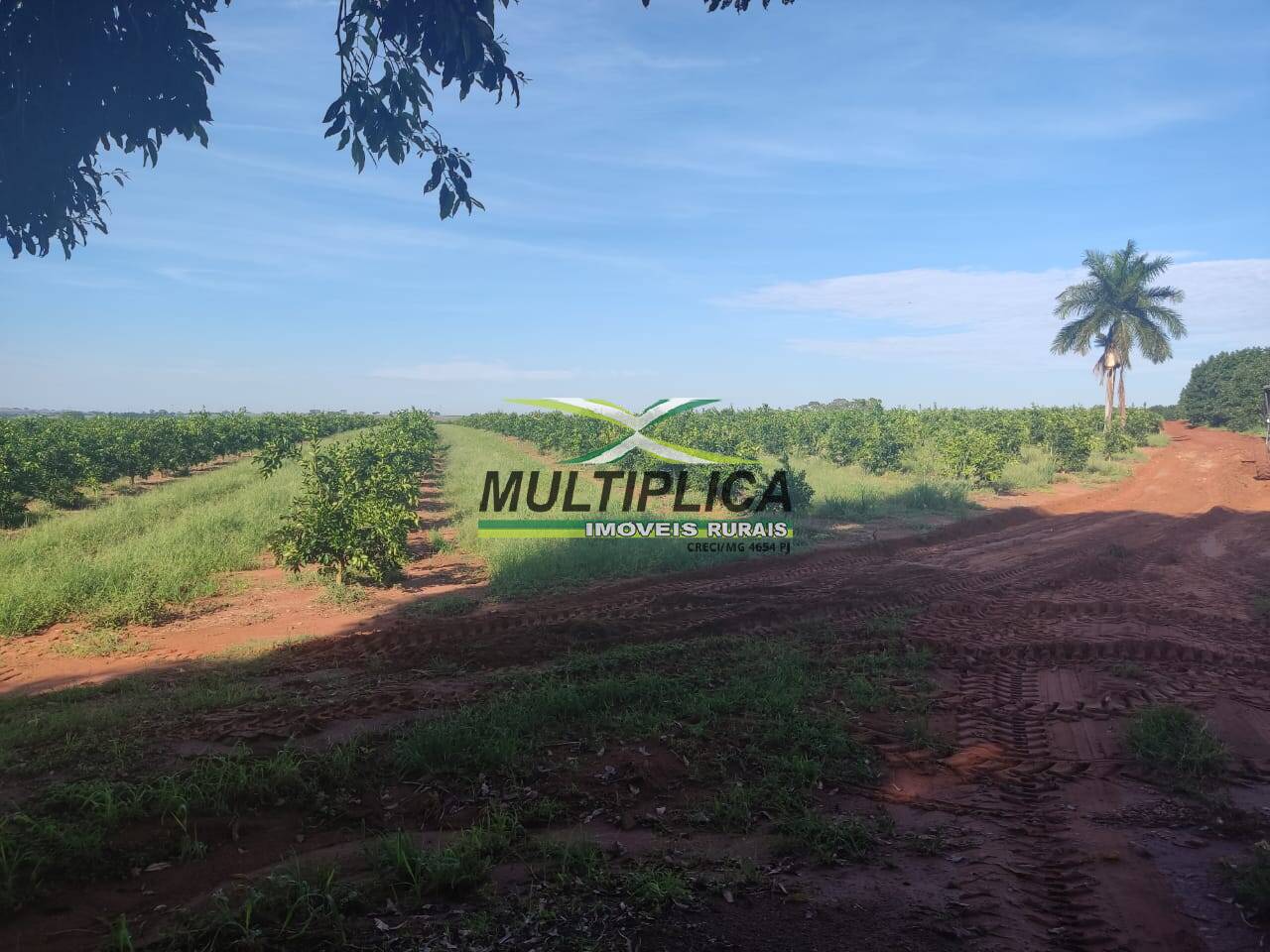 Terreno, 72 m² - Foto 4