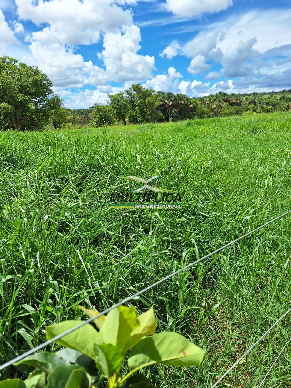 Terreno, 168 m² - Foto 1