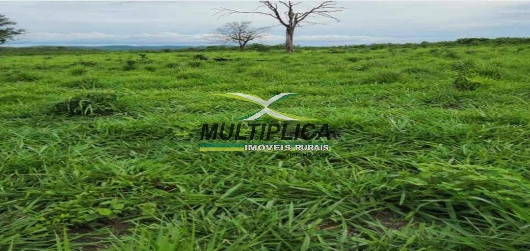 Terreno à venda, 5050m² - Foto 2