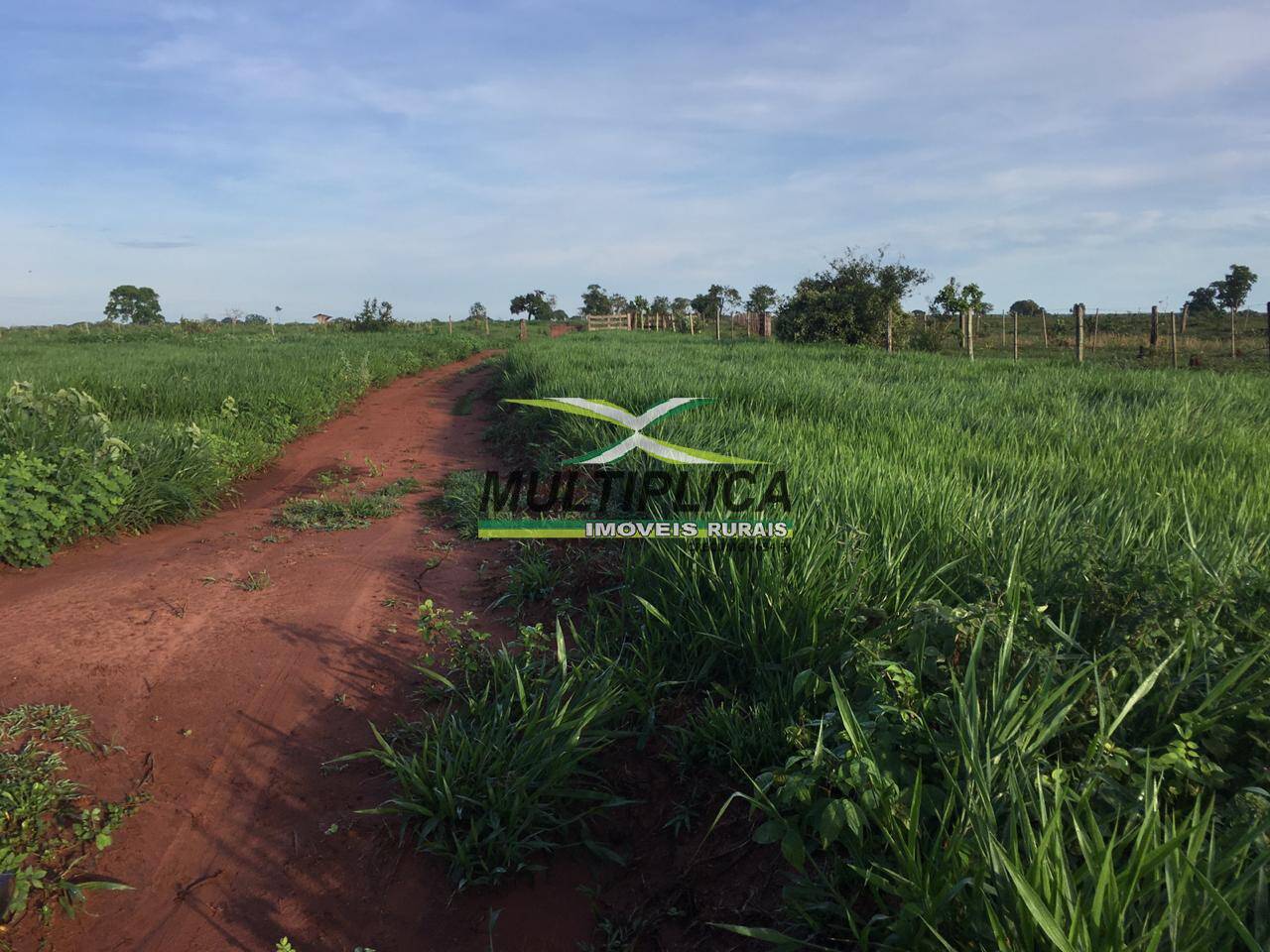 Terreno, 2040 m² - Foto 4