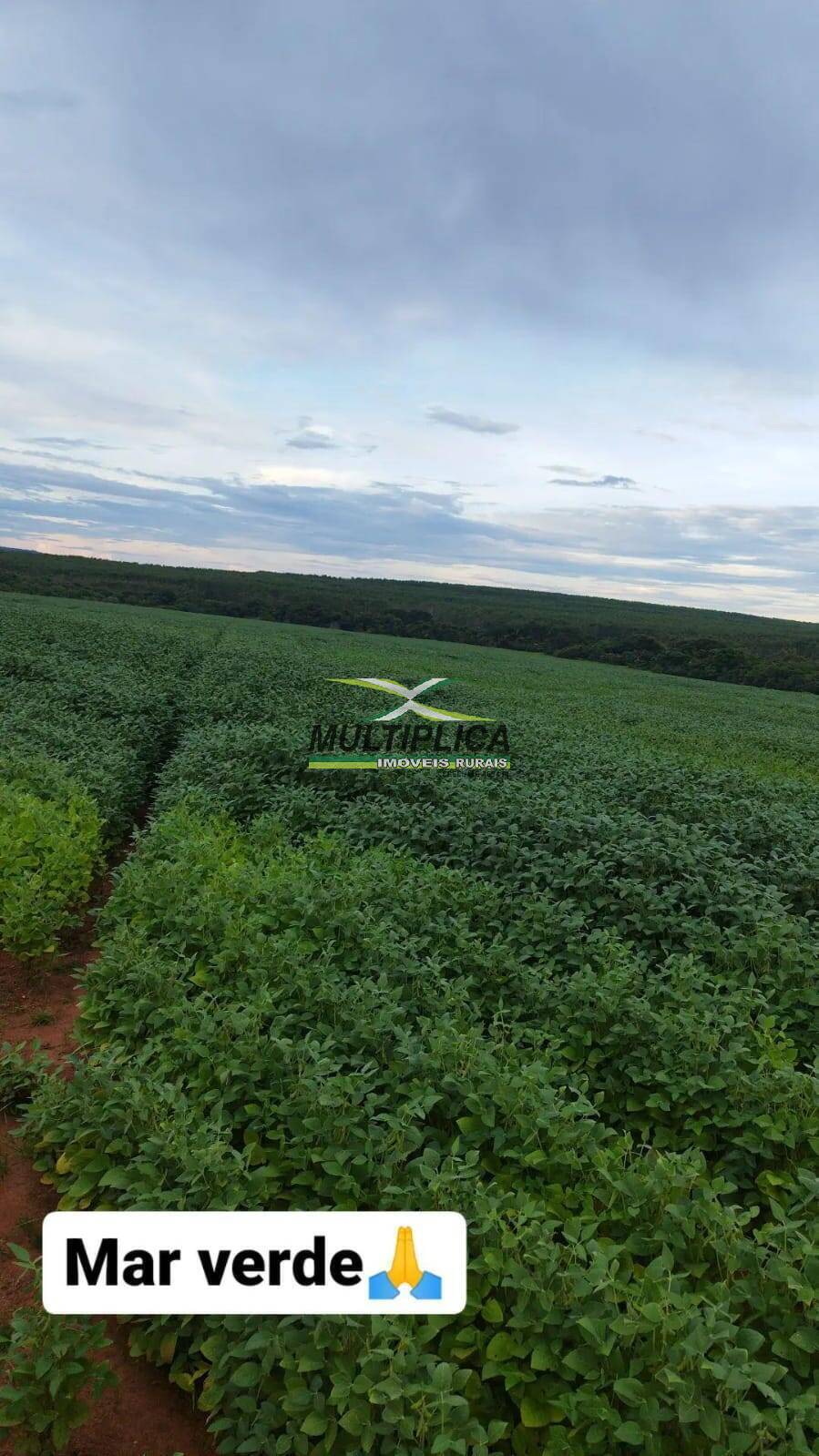 Terreno, 677 m² - Foto 2