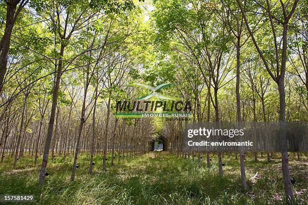 Terreno, 84 m² - Foto 3