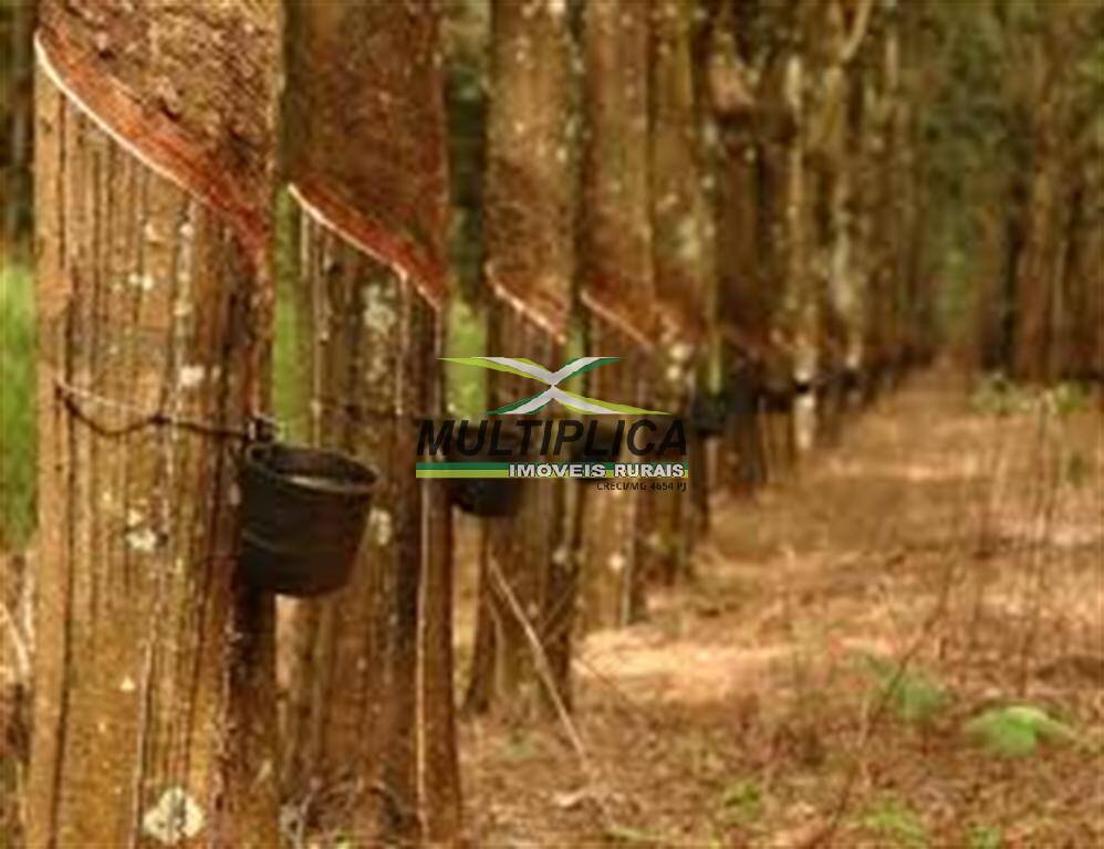 Terreno, 84 m² - Foto 4