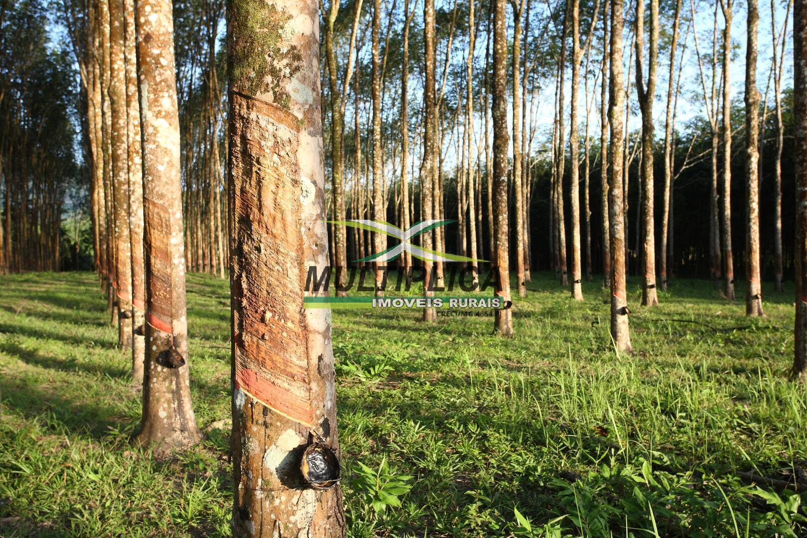 Terreno, 97 m² - Foto 2