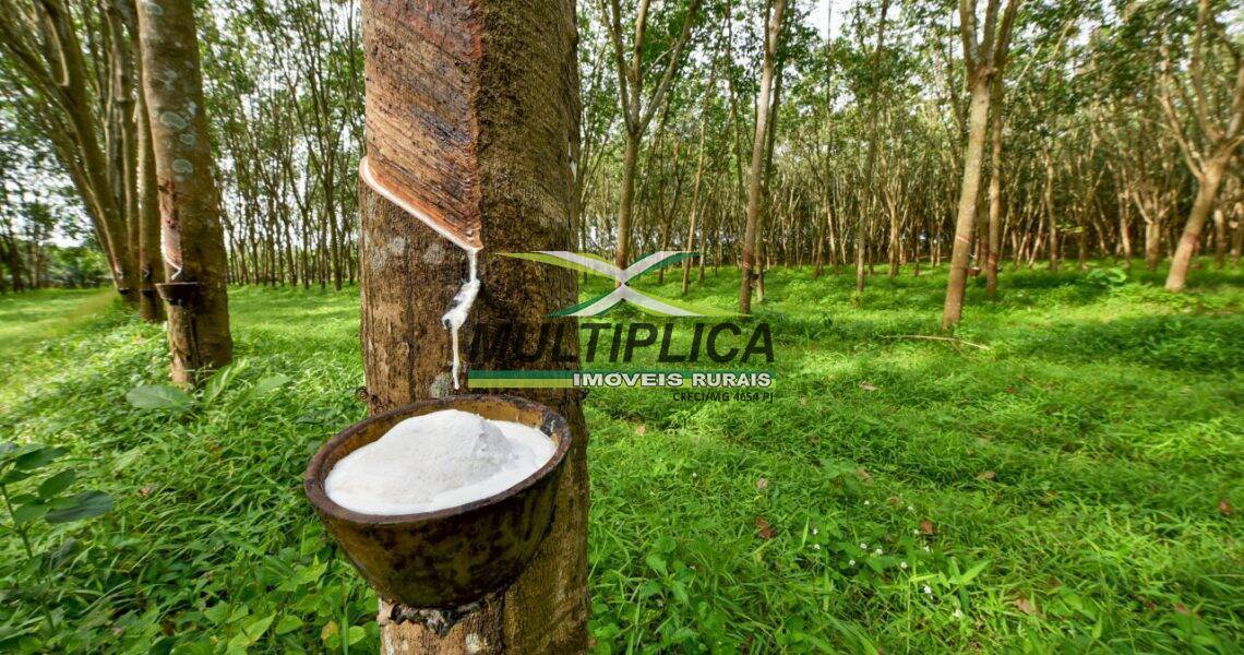 Terreno, 97 m² - Foto 3