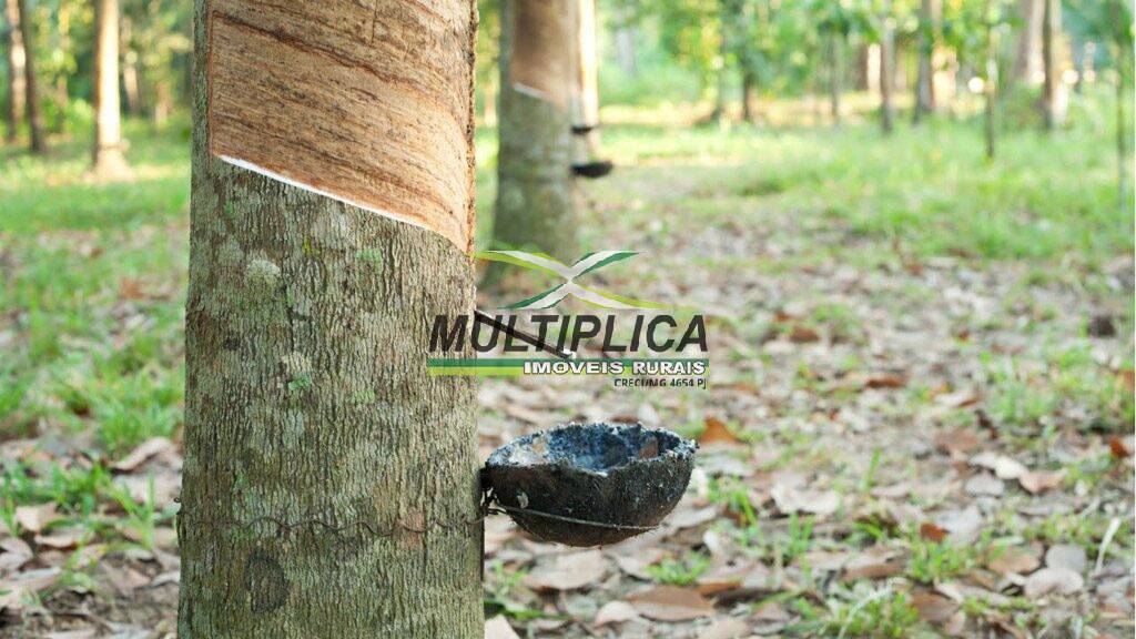 Terreno, 97 m² - Foto 4