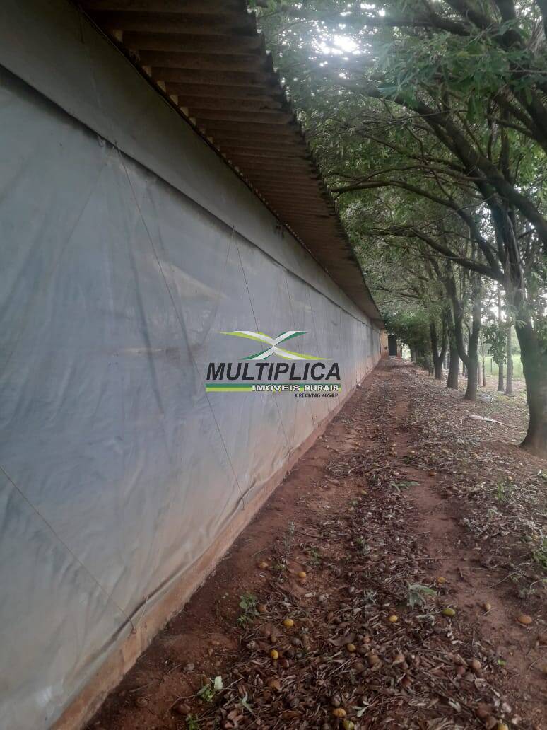 Terreno à venda, 22m² - Foto 5