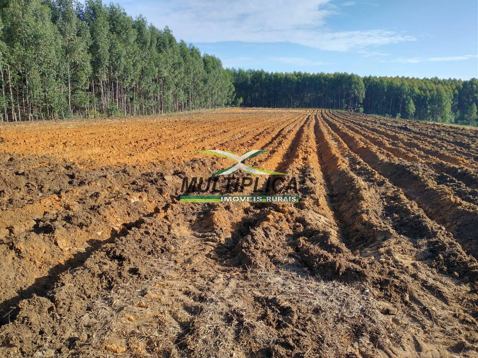 Terreno, 27 m² - Foto 5