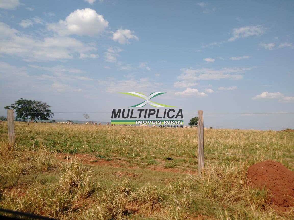 Terreno à venda, 7774m² - Foto 1