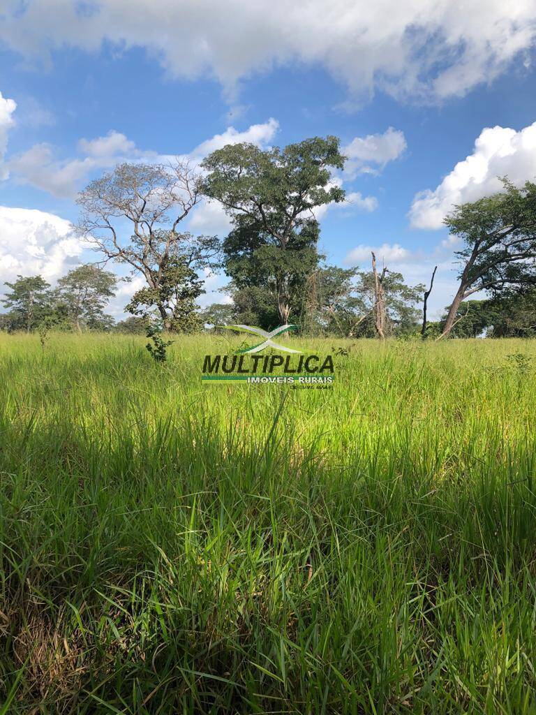Terreno à venda, 8728m² - Foto 3
