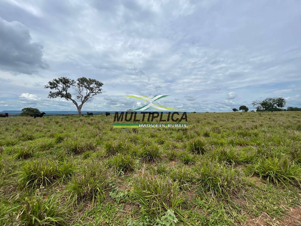Terreno à venda, 8728m² - Foto 4
