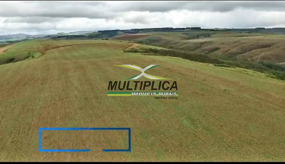 Terreno à venda, 2300m² - Foto 4