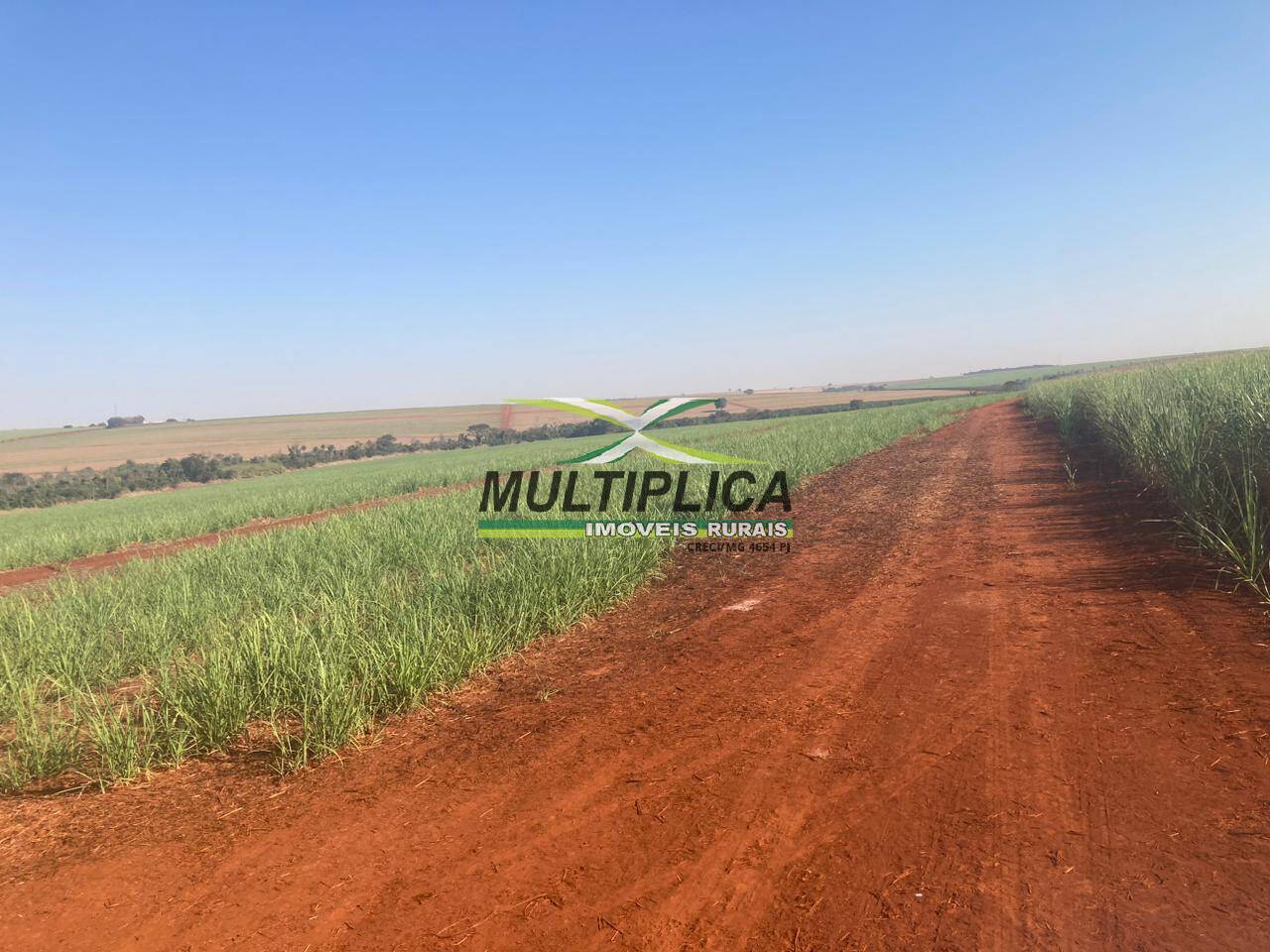 Terreno à venda, 175m² - Foto 1