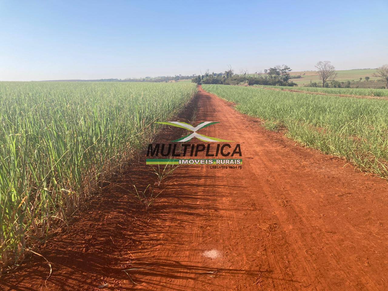 Terreno à venda, 175m² - Foto 4