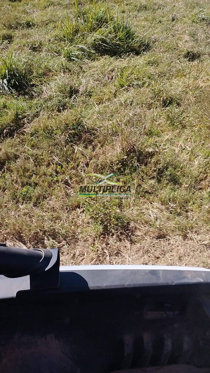 Terreno à venda, 5000m² - Foto 2