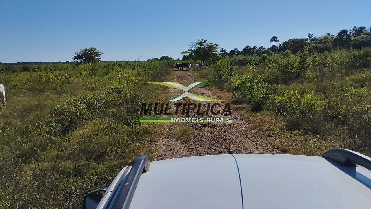 Terreno à venda, 5000m² - Foto 3