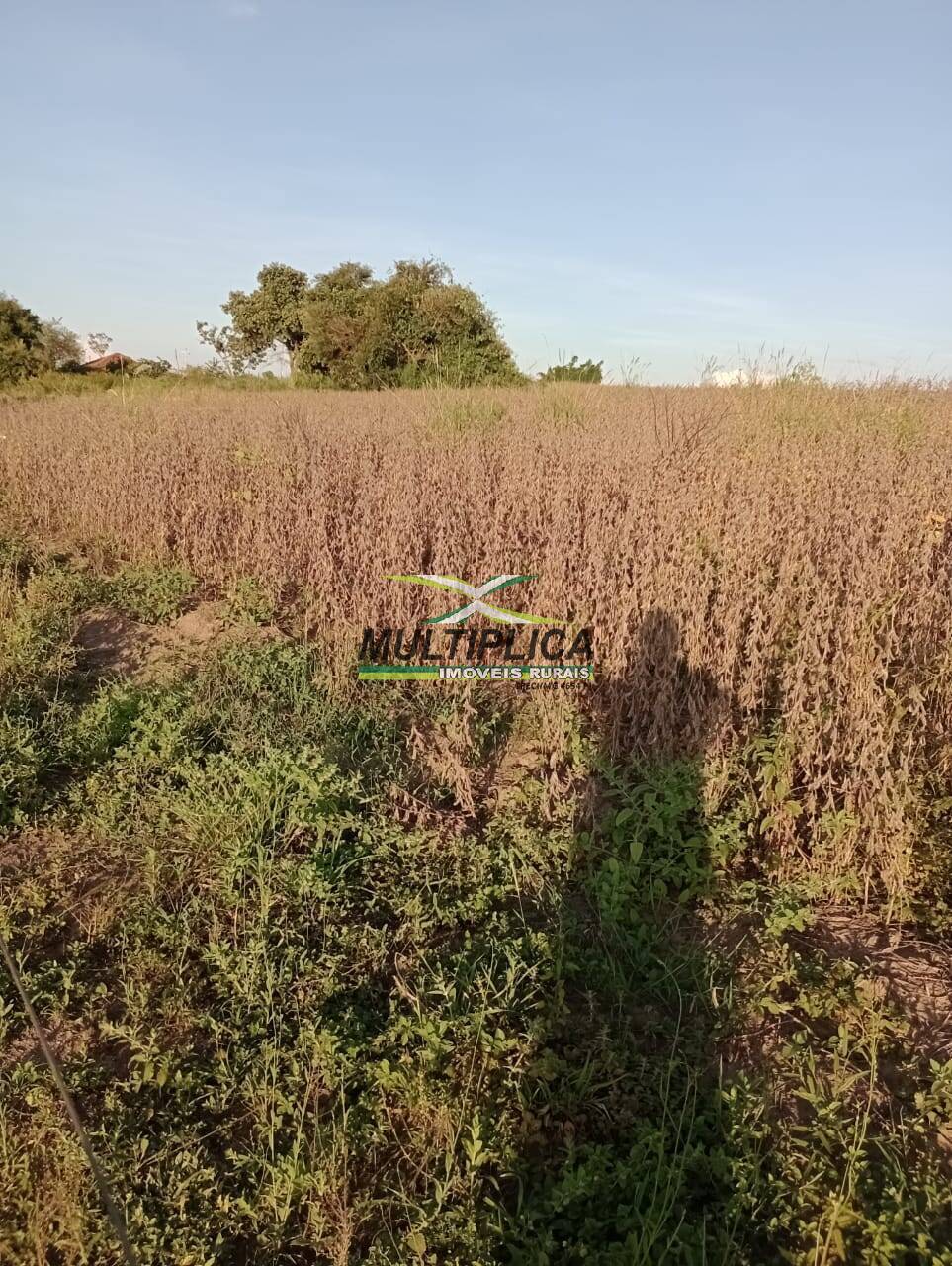 Terreno, 53 m² - Foto 2