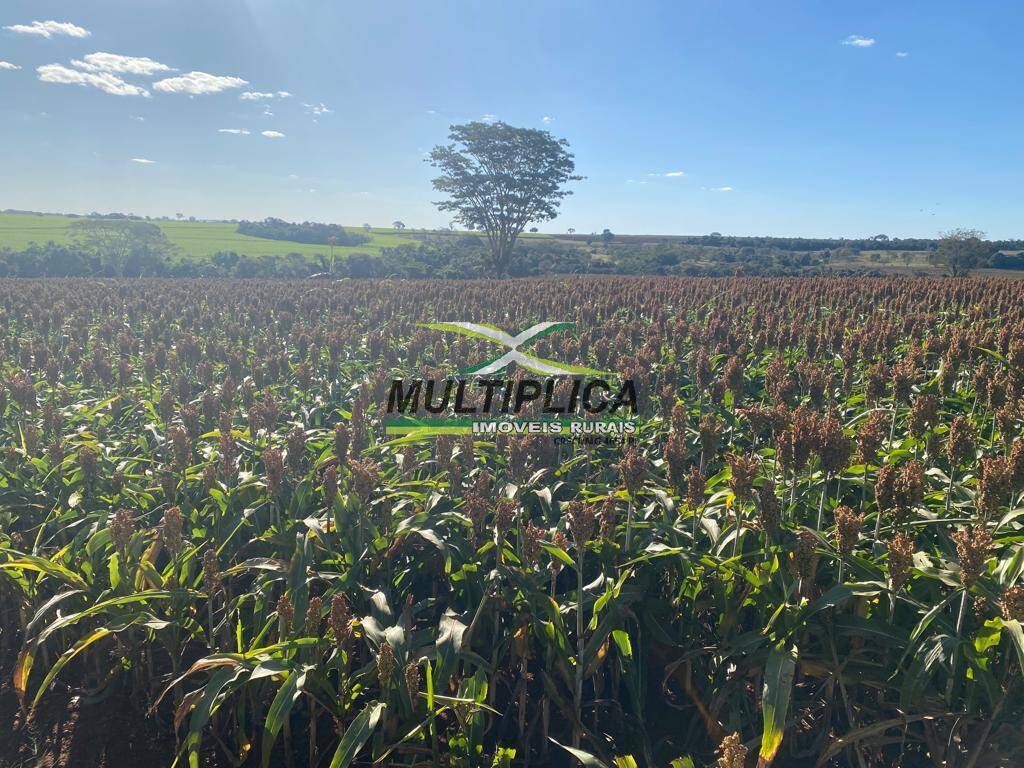 Terreno à venda, 372m² - Foto 1