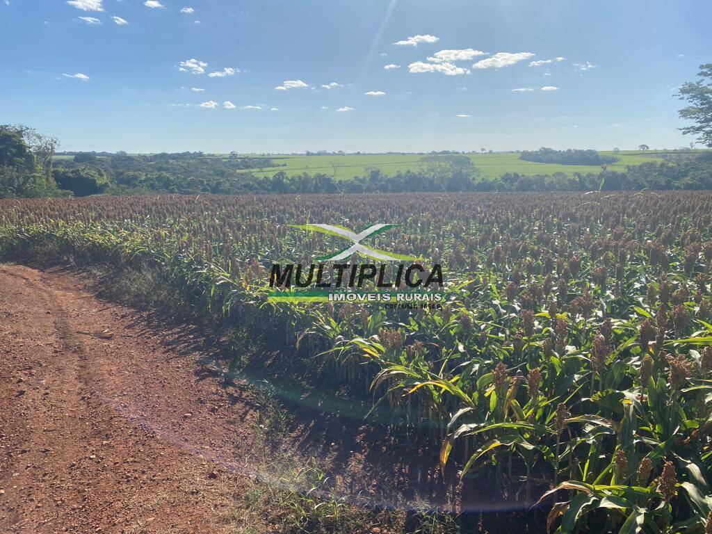Terreno à venda, 372m² - Foto 3