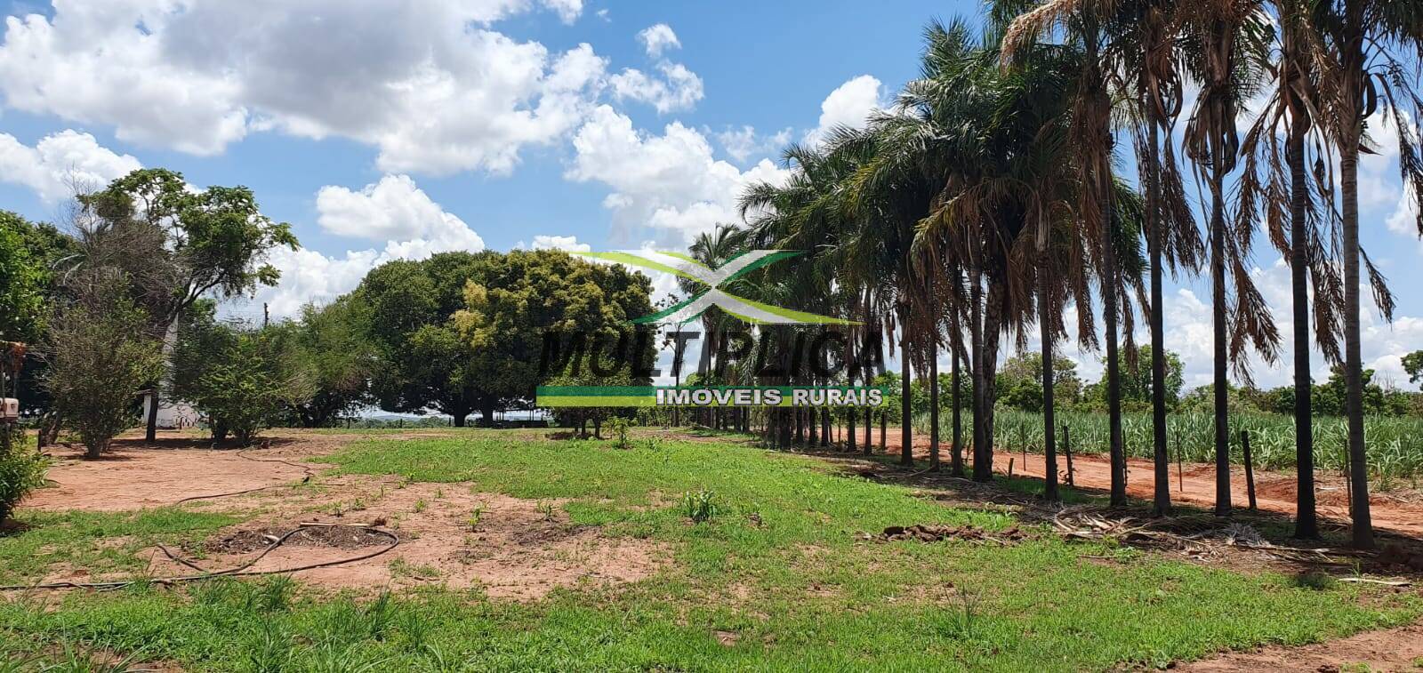 Terreno à venda, 198m² - Foto 4