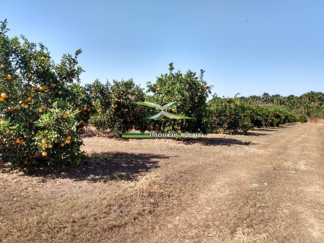 Terreno à venda, 26m² - Foto 4