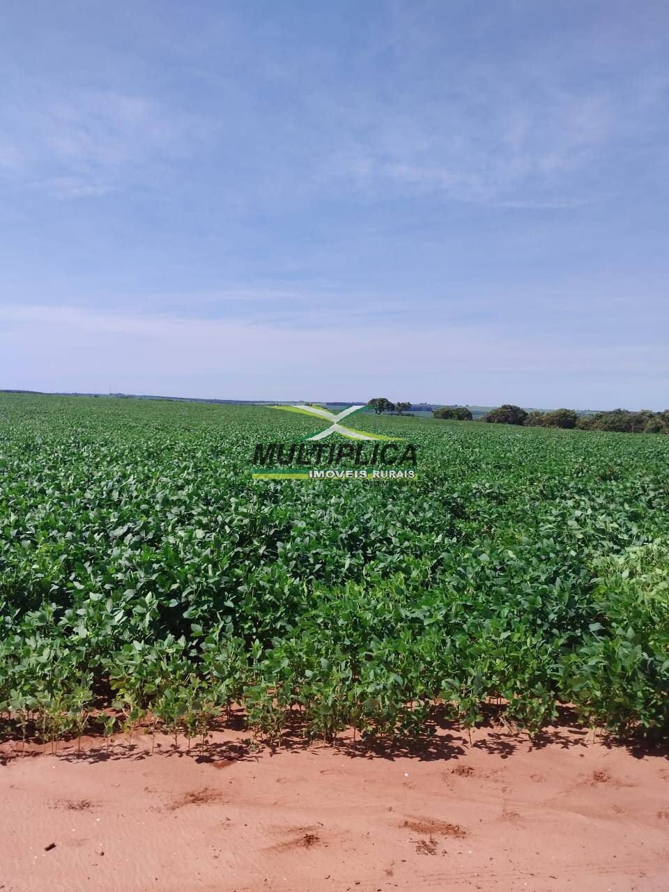 Terreno à venda, 169m² - Foto 2