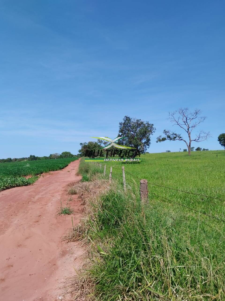 Terreno à venda, 169m² - Foto 3