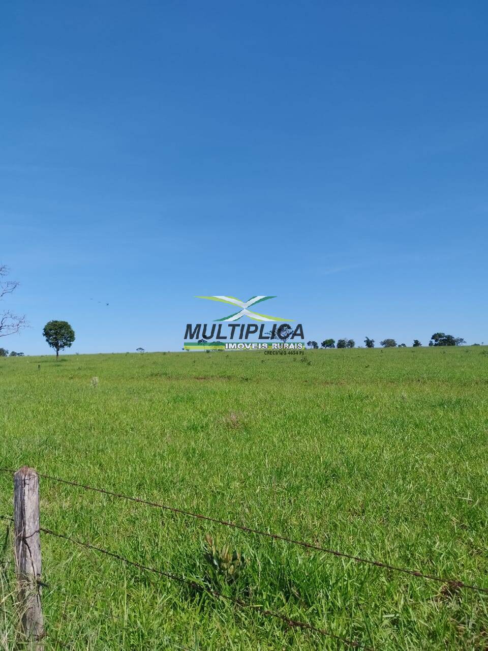 Terreno à venda, 169m² - Foto 4