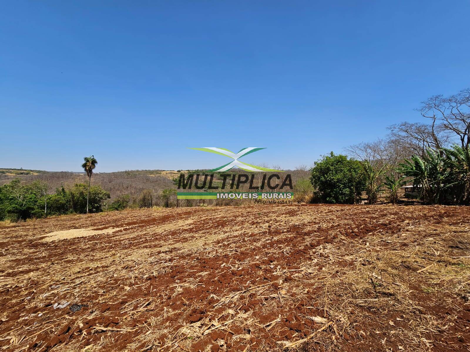 Terreno à venda, 54000m² - Foto 7