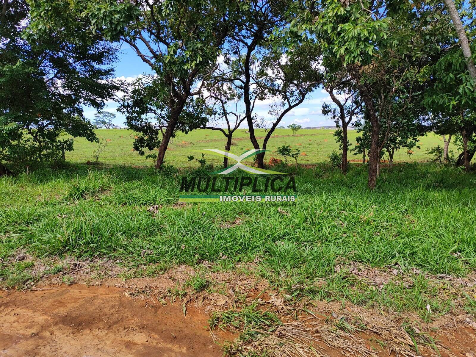 Terreno à venda, 252m² - Foto 4