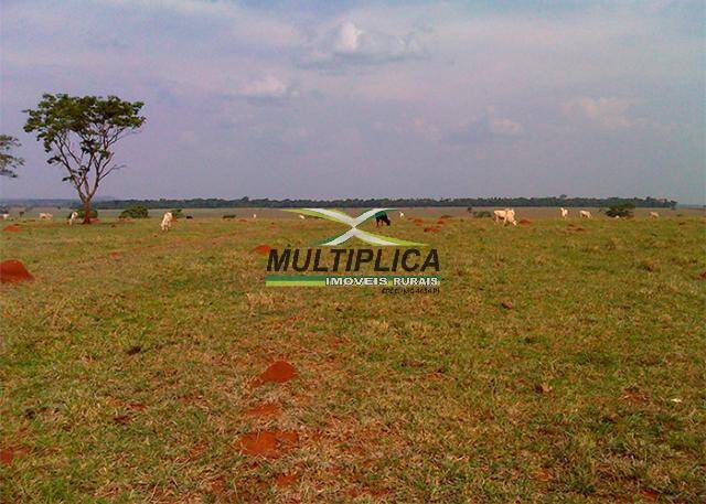 Terreno à venda, 295m² - Foto 1