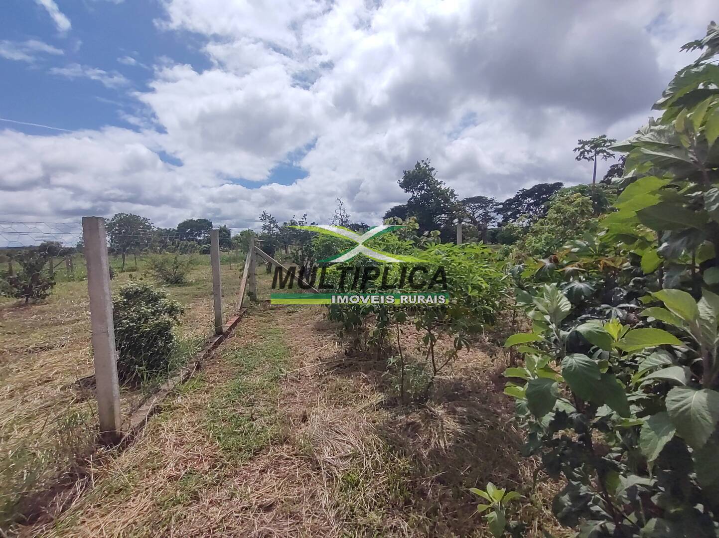 Chácara à venda com 3 quartos, 200m² - Foto 49