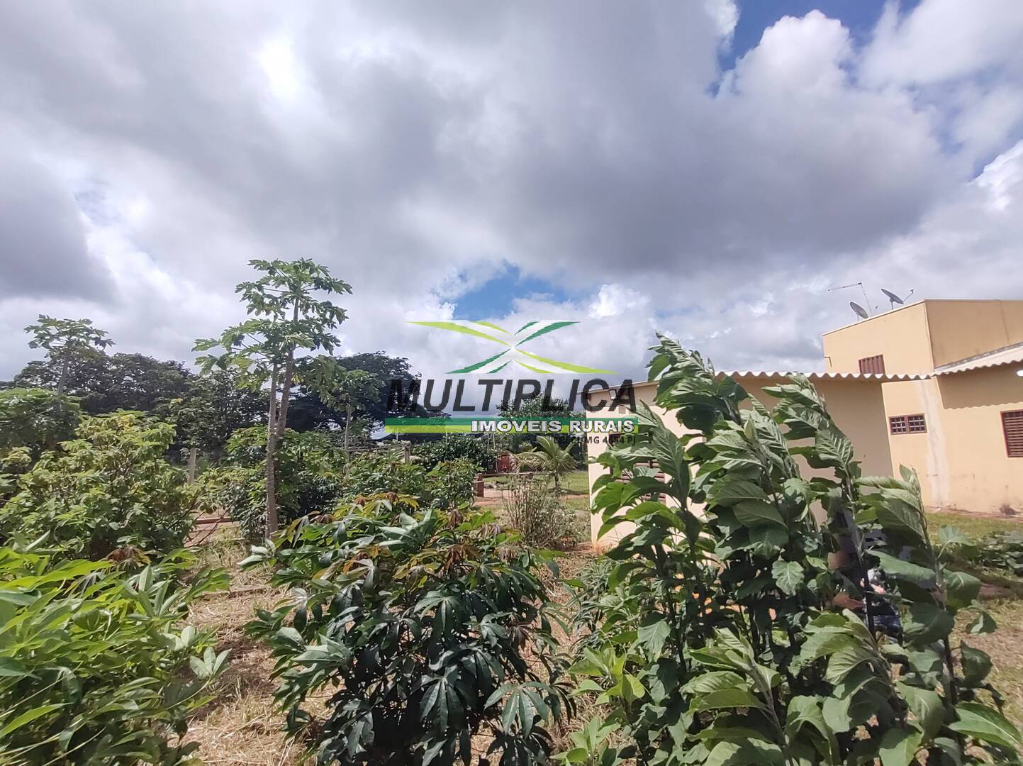 Chácara à venda com 3 quartos, 200m² - Foto 51