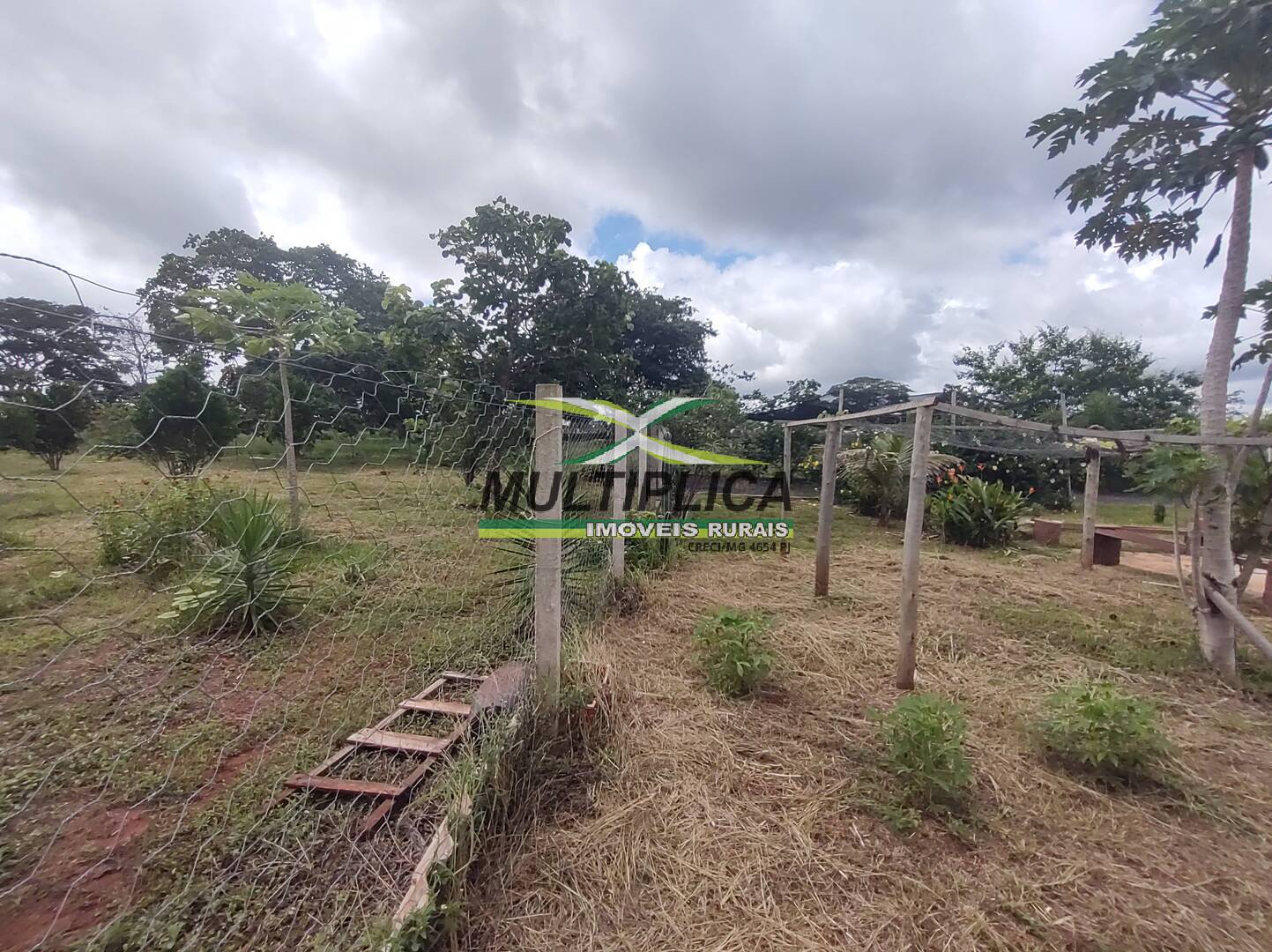Chácara à venda com 3 quartos, 200m² - Foto 59